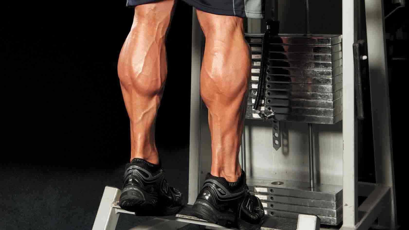 Ejercicios de gemelos