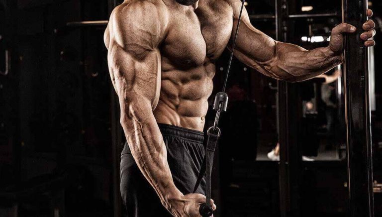 Ejercicios de tríceps