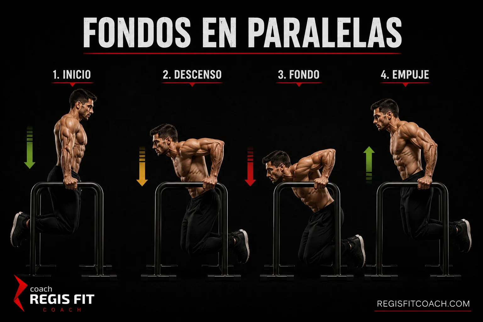Recorrido completo de los fondos en paralelas en cuatro fases: inicio, descenso, punto más bajo y empuje
